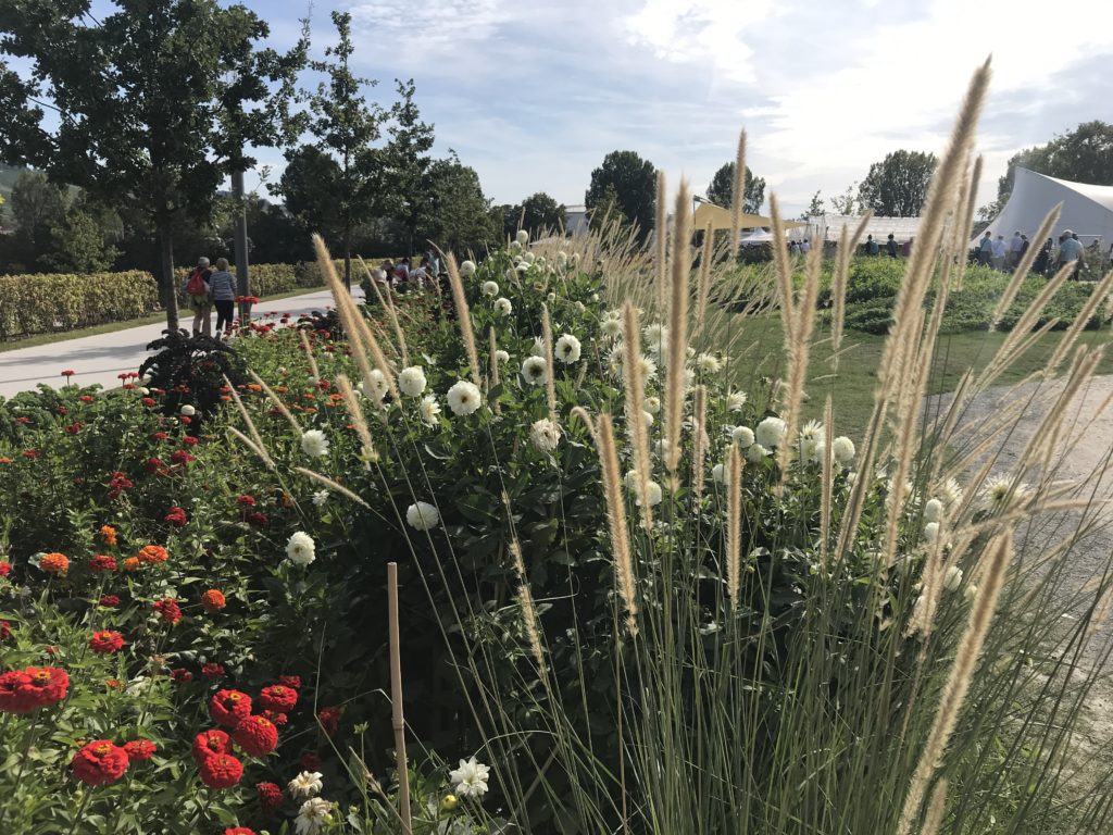 Staudenrabatten mit Rietgräsern, Dahlien und Zinnien bedienen den Wunsch nach Üppigkeiten.