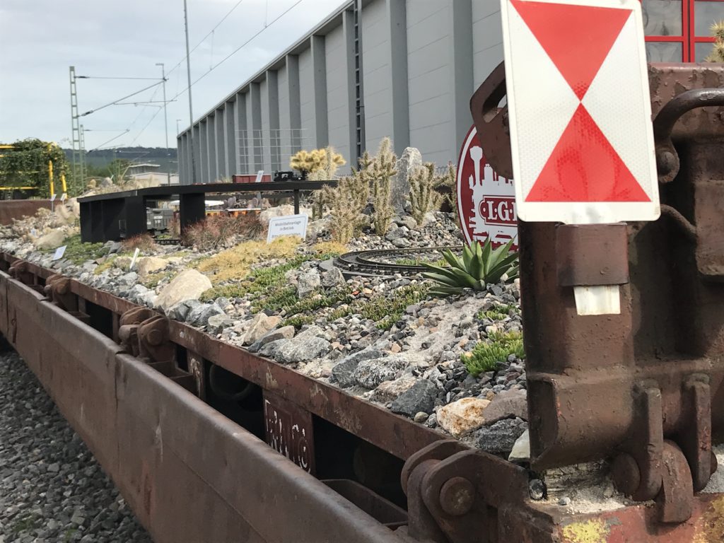 Modelleisenbahn mit Geröll-Flora wie Mittagsblumen auf einem Güterwaggon. Sehr stimmig. 