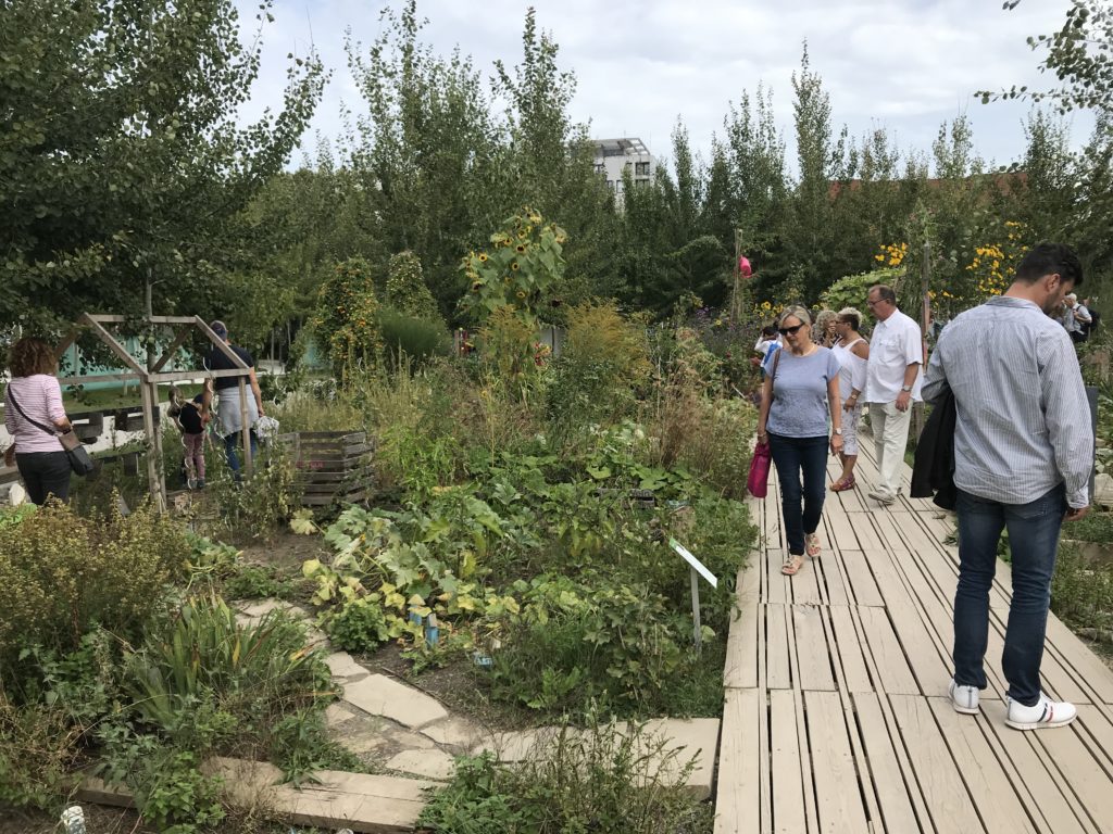 Im Interkulturellen Garten wurden Parzellen von Einzelpersonen bespielt. Die Gärten zeigen viel von den Biographien der Menschen. Ein gelungenes Projekt. 